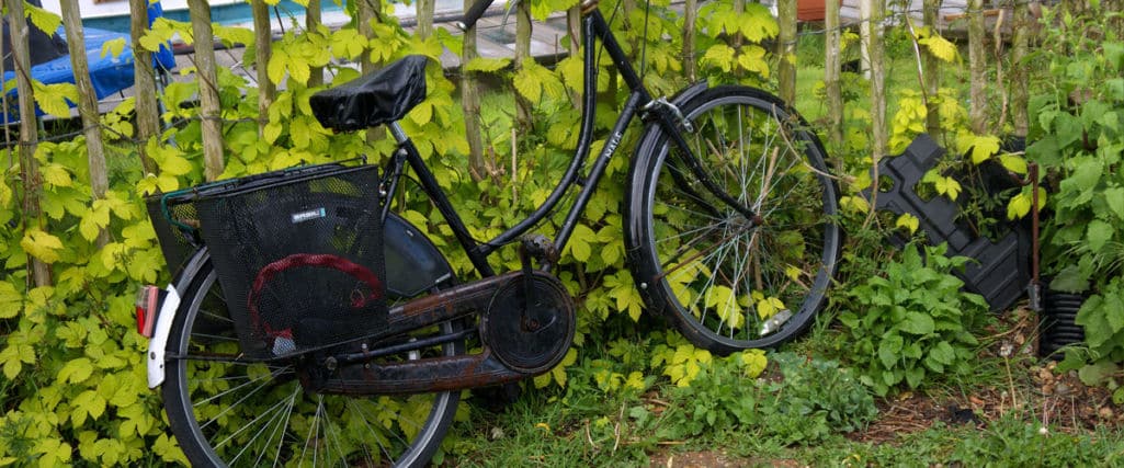 Donate A Bike Better By Bike